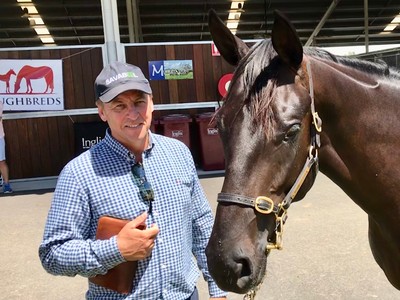 Bruce Perry: Advising On Bloodstock Sales At The Highest Lev ... Image 2